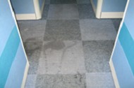 ݱݱ˾ݺñ˾݌(zhun)I(y)˾  W(wng)ַhttp://www.5zxs.com/
